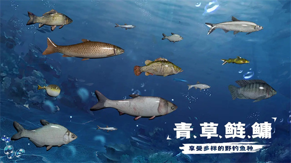 天天钓鱼水族馆收入怎么算 天天钓鱼水族馆收入算法说明