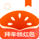 番茄免费小说永久SVIP版本